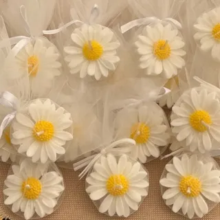 گیفت بابونه