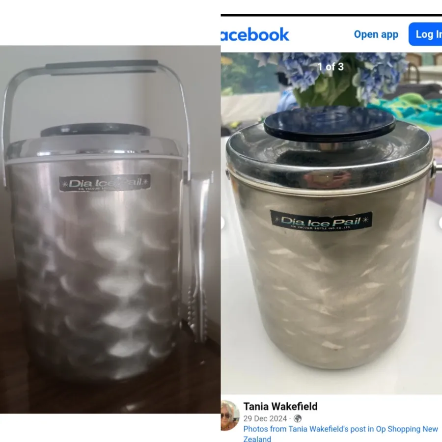 ظرف یخ ژاپنی