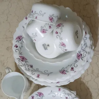 سرویس غذاخوری پارس اوپال