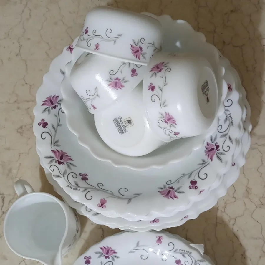 سرویس غذاخوری پارس اوپال