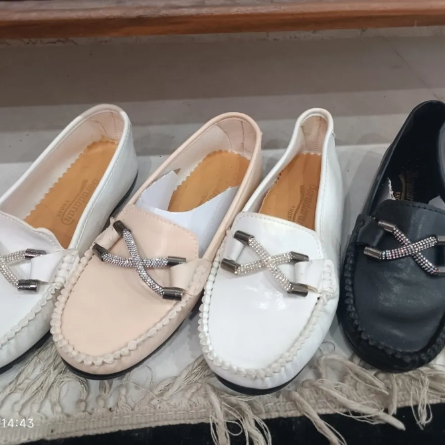 کالج پروانه ای