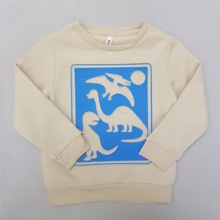 پلیور پسرانه توکرکی