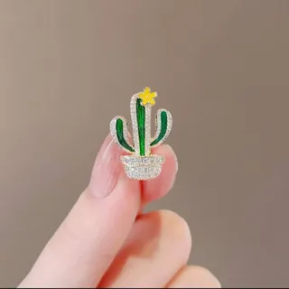 گل سینه کاکتوس وارداتی