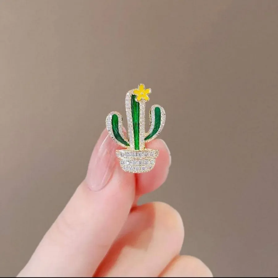 گل سینه کاکتوس وارداتی