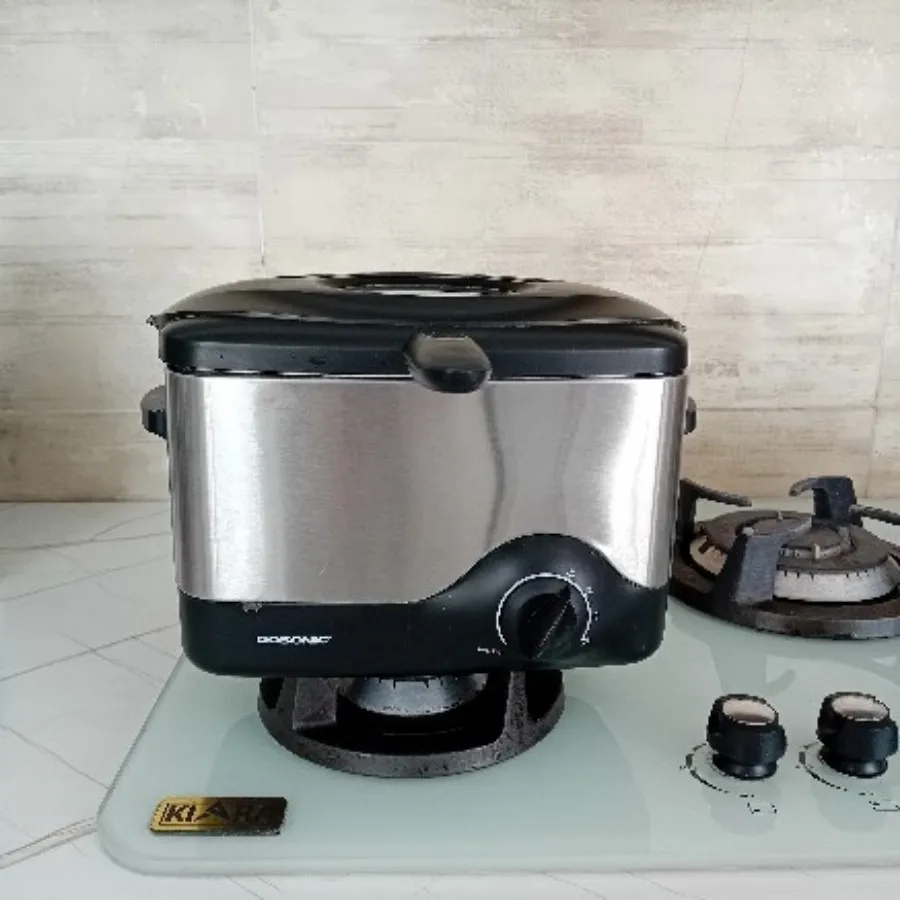 سرخ کن مینی گاسونیک