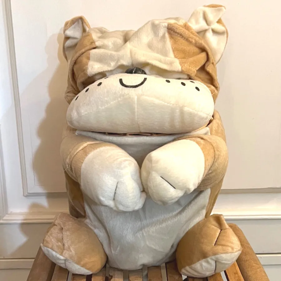 سطل نظم دهنده عروسکی