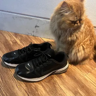 کتونی نایک مشکی