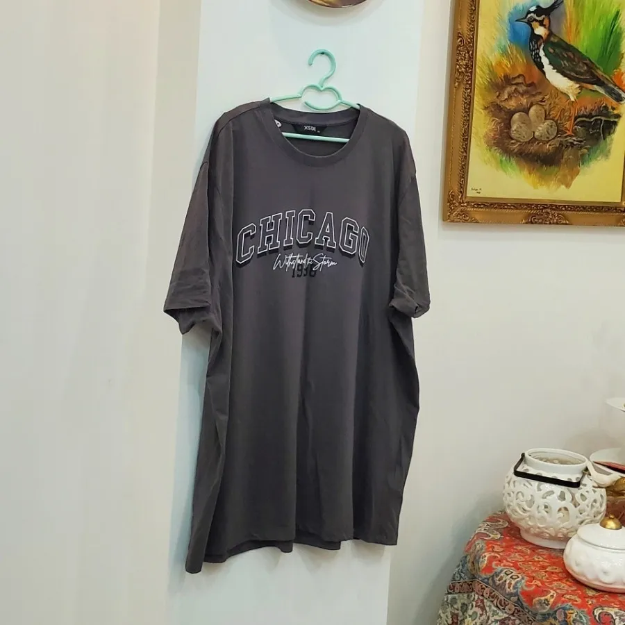 تیشرت مردانه