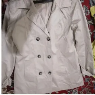 پالتو کتی