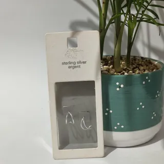 گوشواره نقره