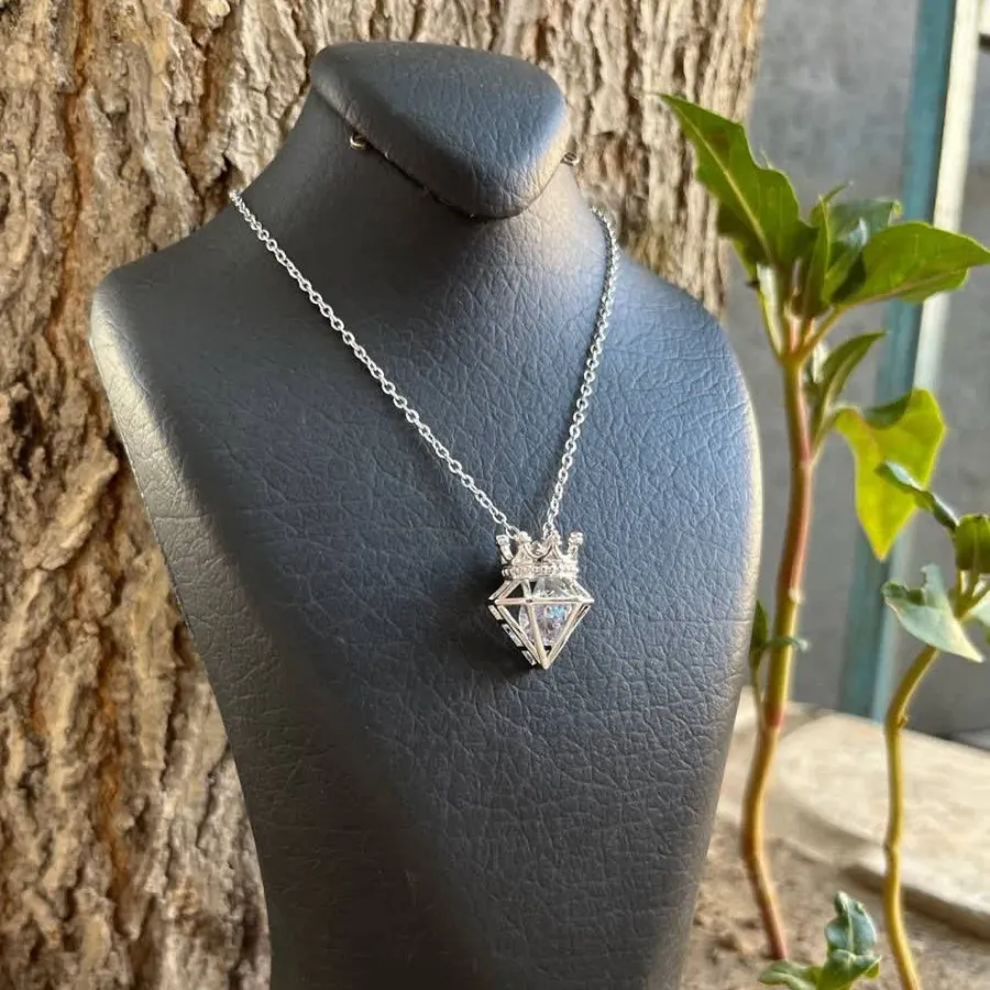 زنجیر و پلاک