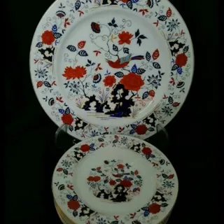 کیک خوری کنجگشی