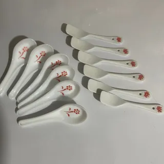 قاشق ارکوپال و چینی