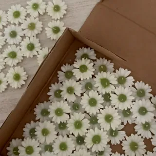 پک 50عددی شمع بابونه