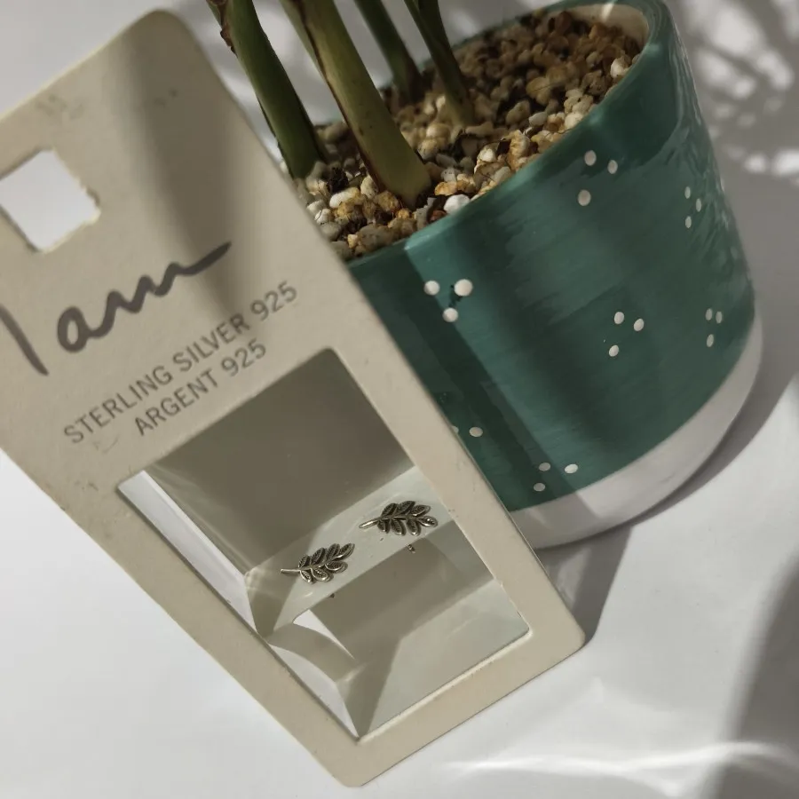 گوشواره نقره