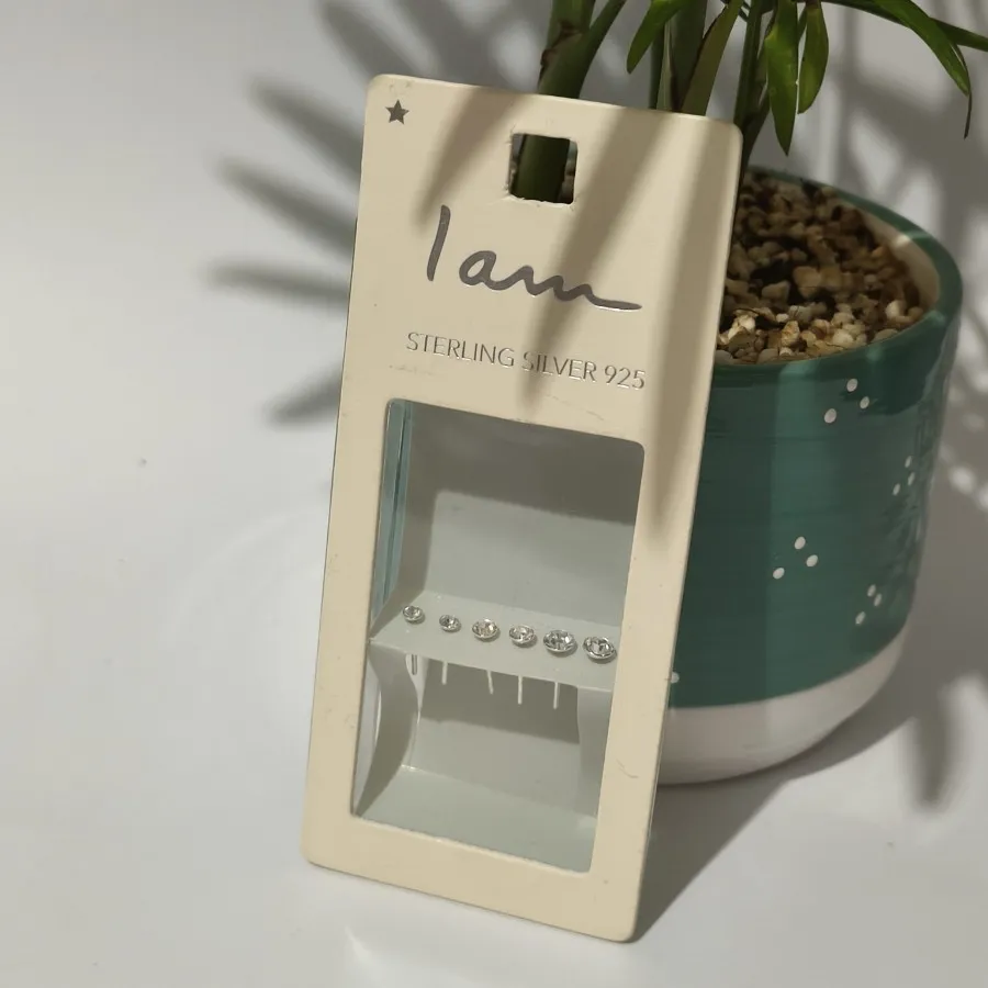 پک گوشواره نقره