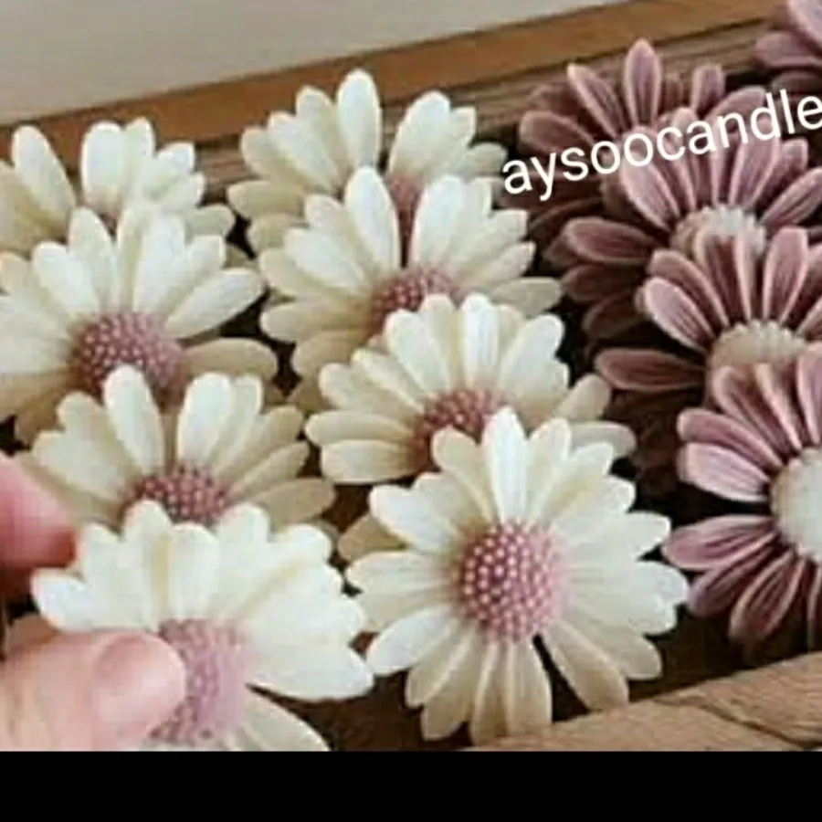 پک 12تایی شمع بابونه