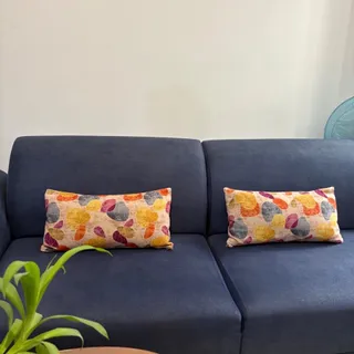 کوسن رنگی جفتی