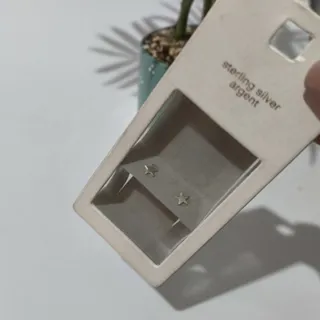 گوشواره نقره