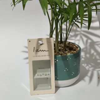 گوشواره نقره