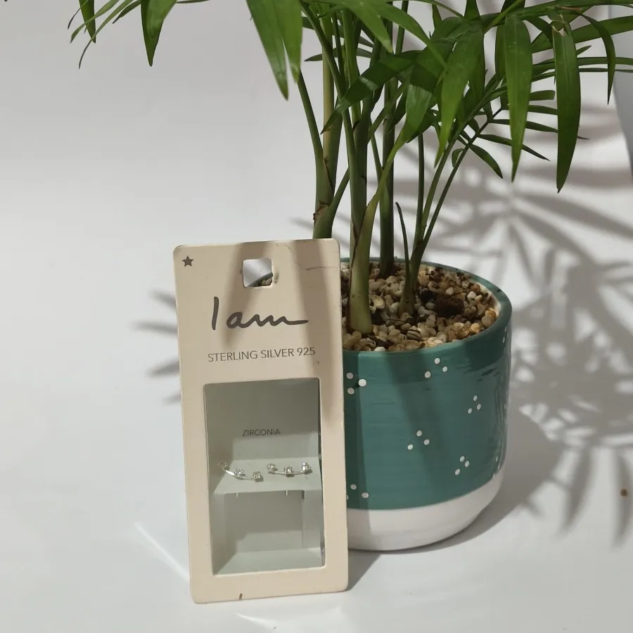 گوشواره نقره