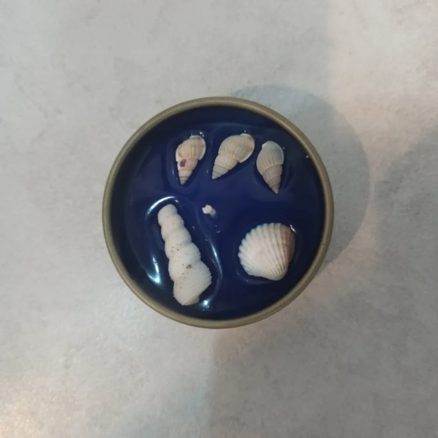 شمع دریایی دست ساز