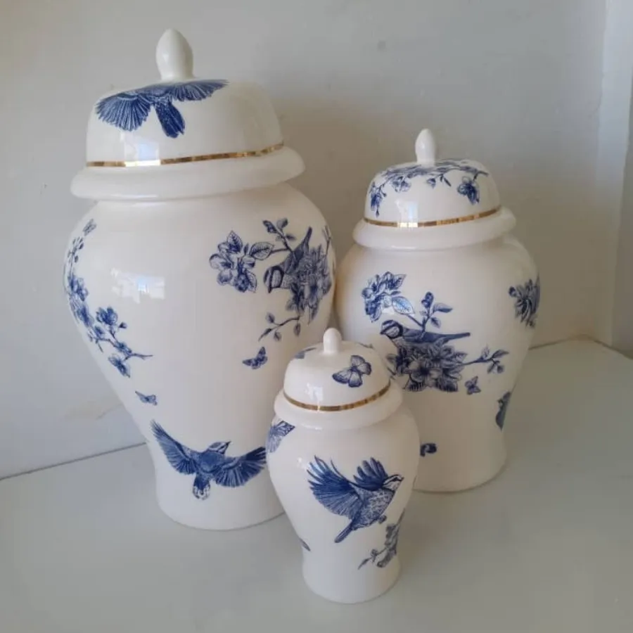 جینجرجار طرح پرستو