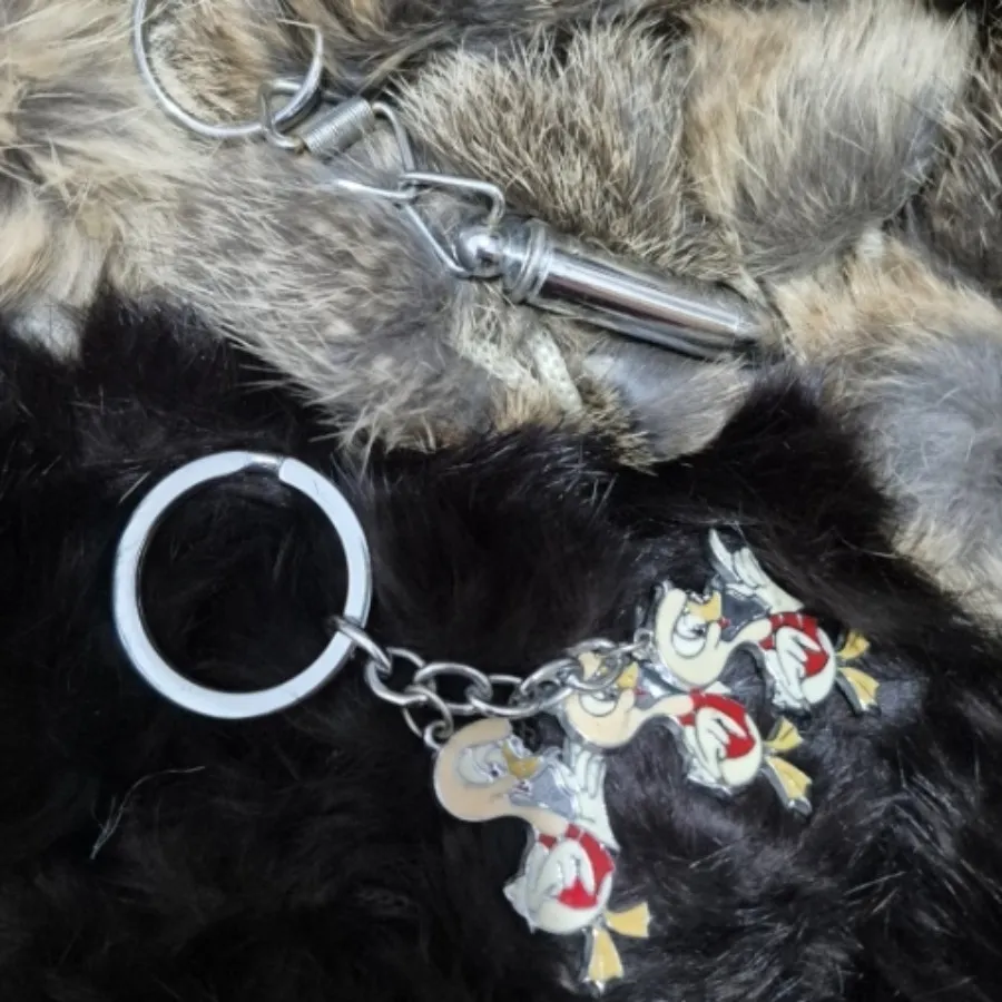 جاکلیدی اورجینال دیزنی