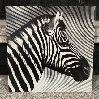 تابلو عکس گورخر