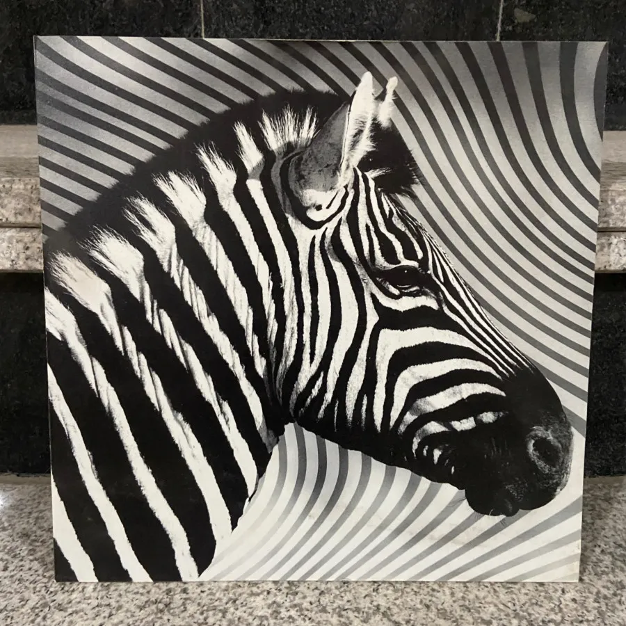 تابلو عکس گورخر