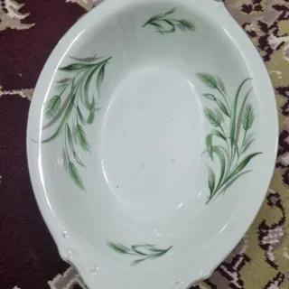 مرغ خوری زاپنی