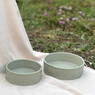 ظروف پذیرایی