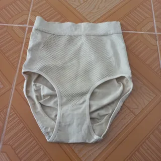 گن لانه زنبوری