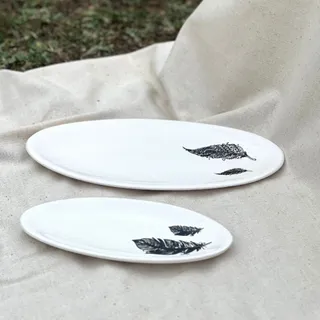 دیس های پذیرایی