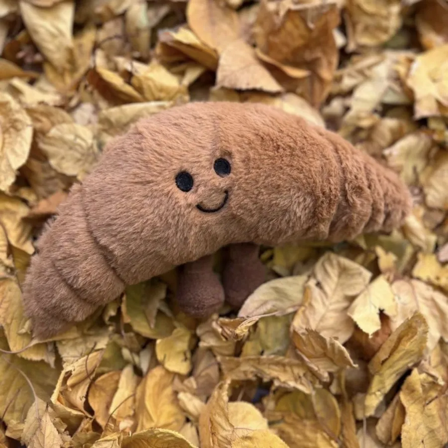 اویز کروسان