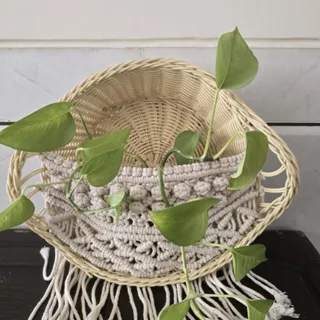 سبد مکرومه‌بافی زیبا