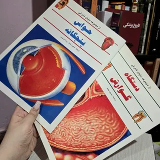 حواس پنچگانه دستگاه گوارش