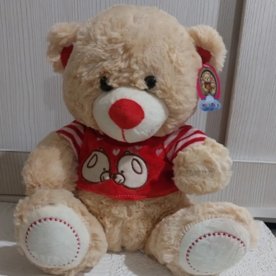 عروسک خرس پولیشی