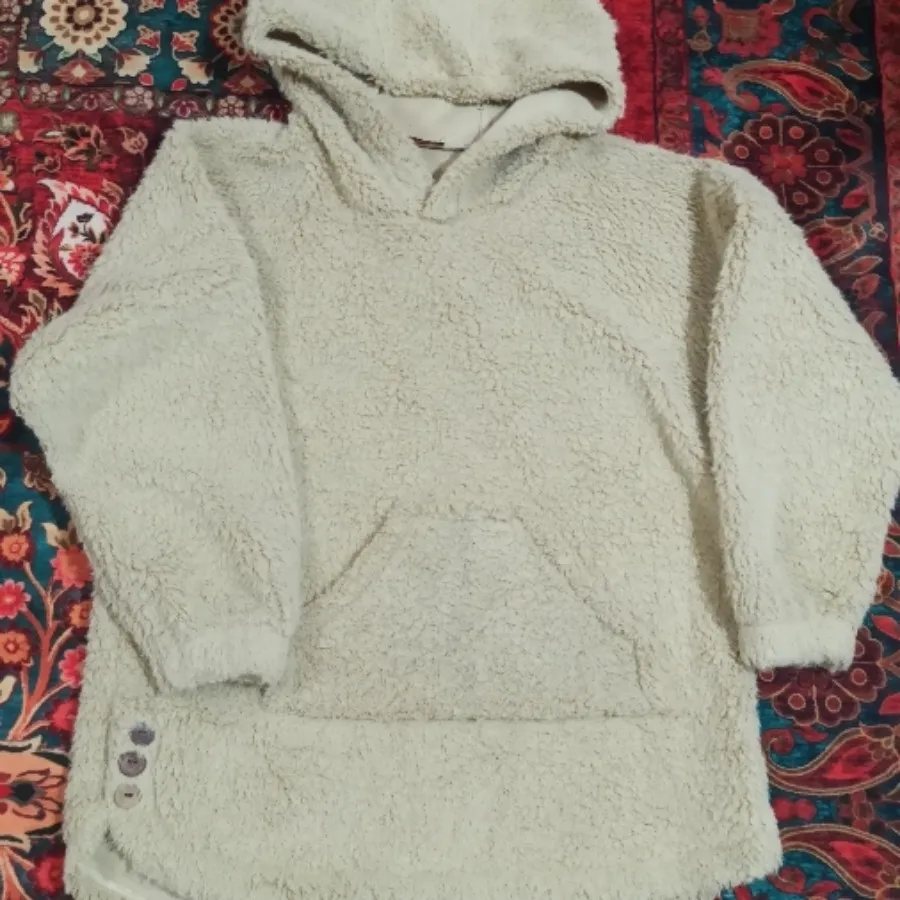 هودی نو