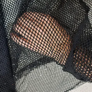 فول نگین کره‌ای