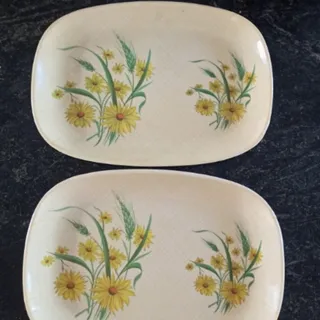 ست غذا خوری دیس