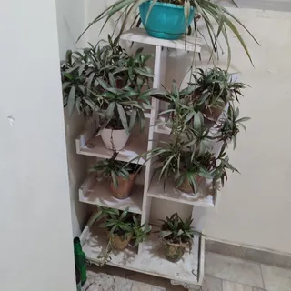 کتابخونه یا جا گلدون