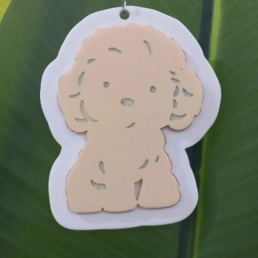 جاسوییچی فانتزی طرح هاپو