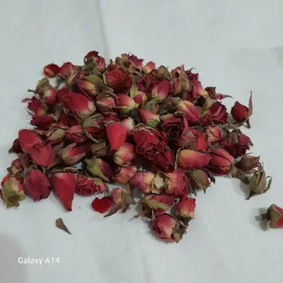 چند مدل گل رز مینیاتوری