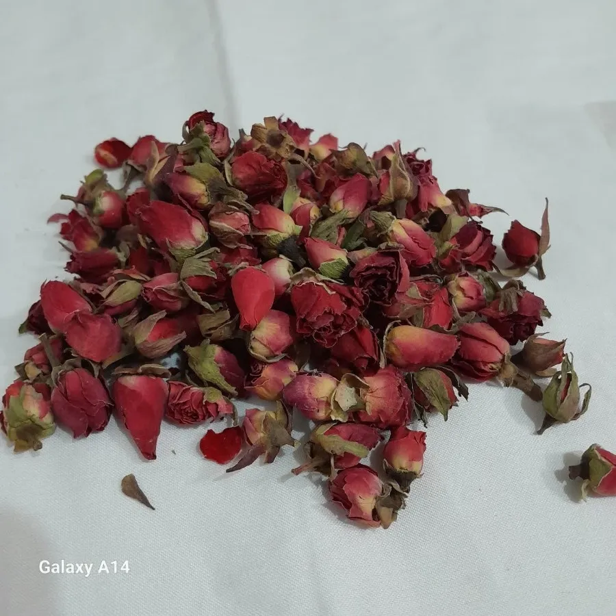 چند مدل گل رز مینیاتوری