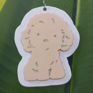 جاسوییچی فانتزی طرح هاپو