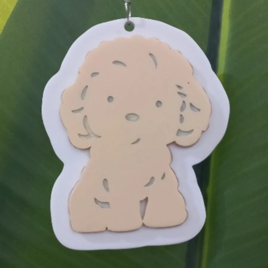 جاسوییچی فانتزی طرح هاپو