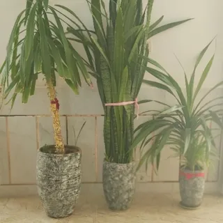 گل و گلدان بزرگ ست سه تای