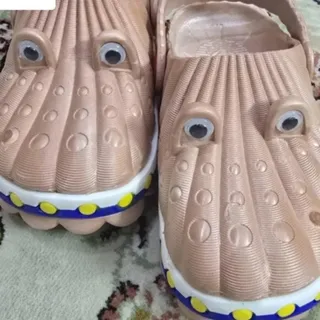 دمپایی چشم قلمه