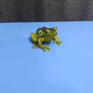 مجسمه مدل غورباقه